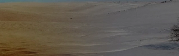 Umweltsimulation Banner